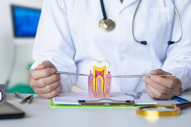 Best Emergency Root Canal Treatment in Wolf Creek, UT